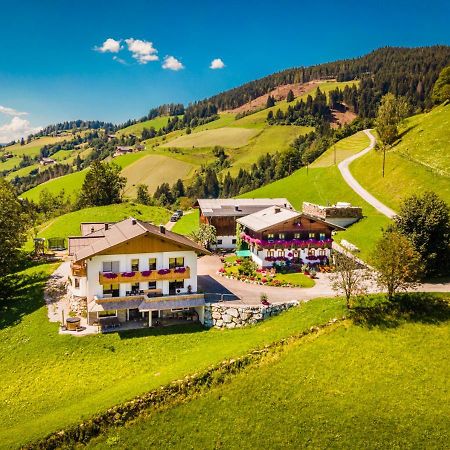 Lindbichlhof Urlaub Am Bio Bauernhof Apartment Sankt Johann im Pongau Luaran gambar
