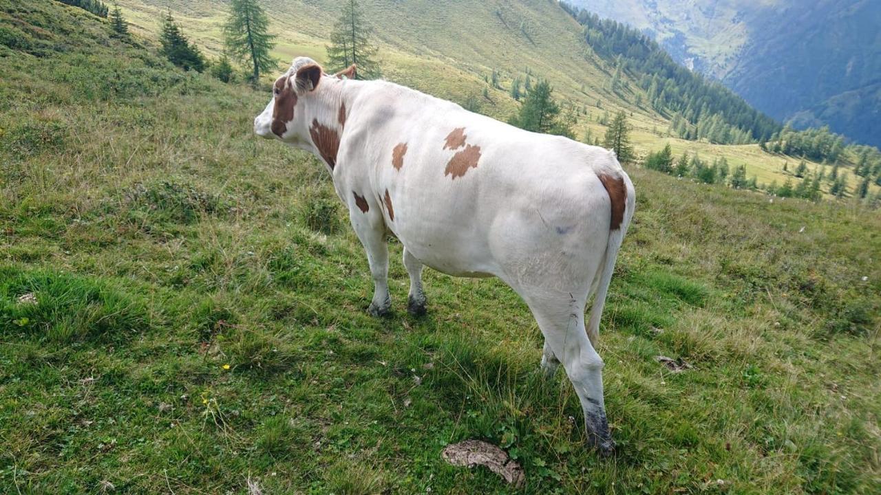 Lindbichlhof Urlaub Am Bio Bauernhof Apartment Sankt Johann im Pongau Luaran gambar