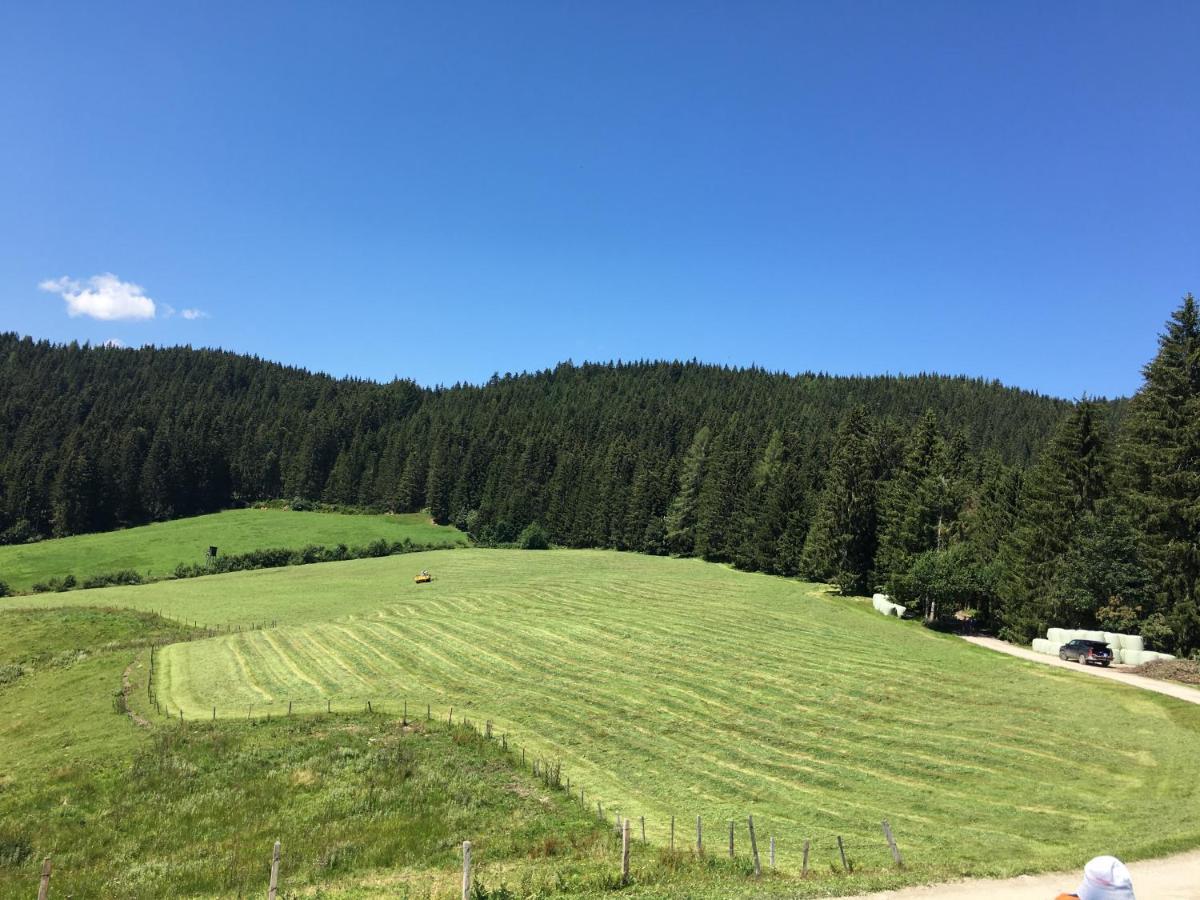 Lindbichlhof Urlaub Am Bio Bauernhof Apartment Sankt Johann im Pongau Luaran gambar