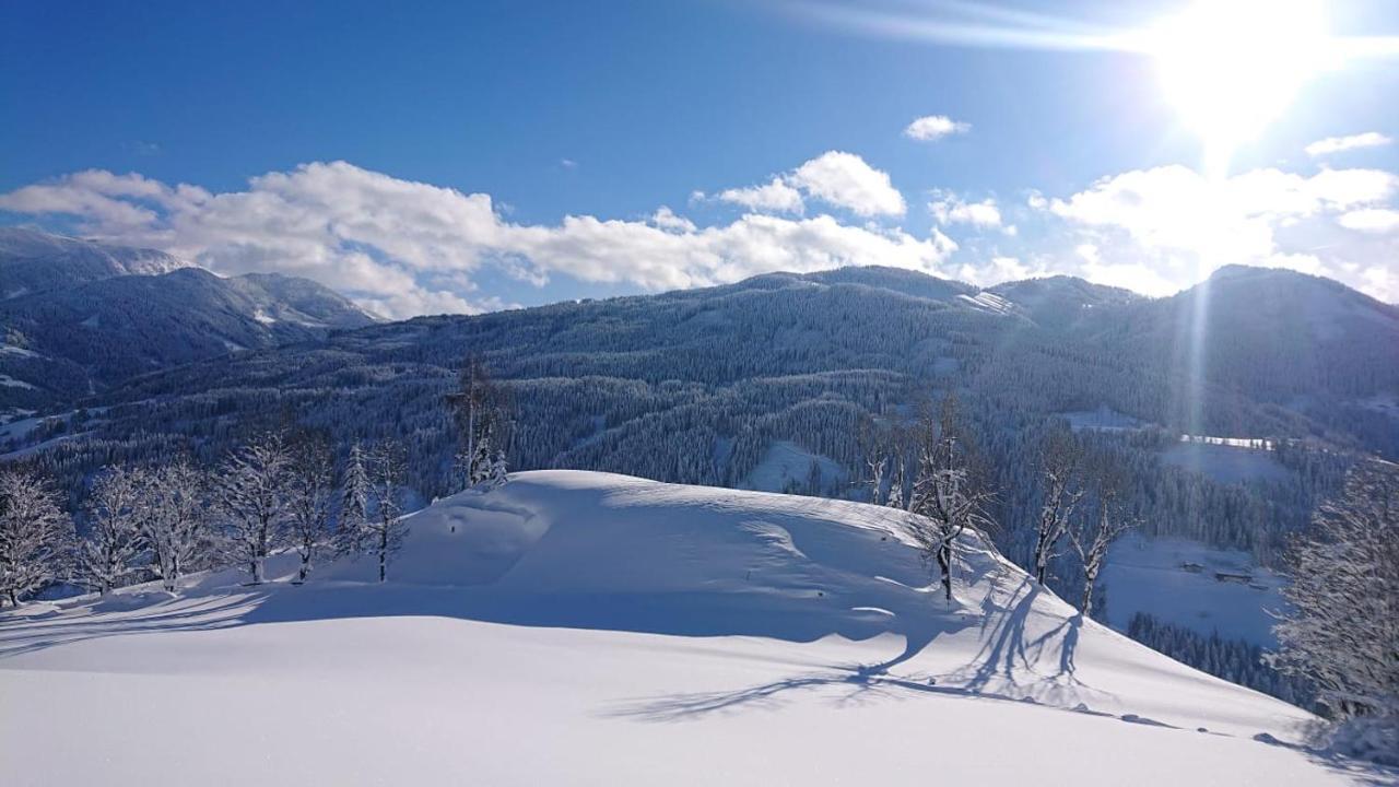 Lindbichlhof Urlaub Am Bio Bauernhof Apartment Sankt Johann im Pongau Luaran gambar