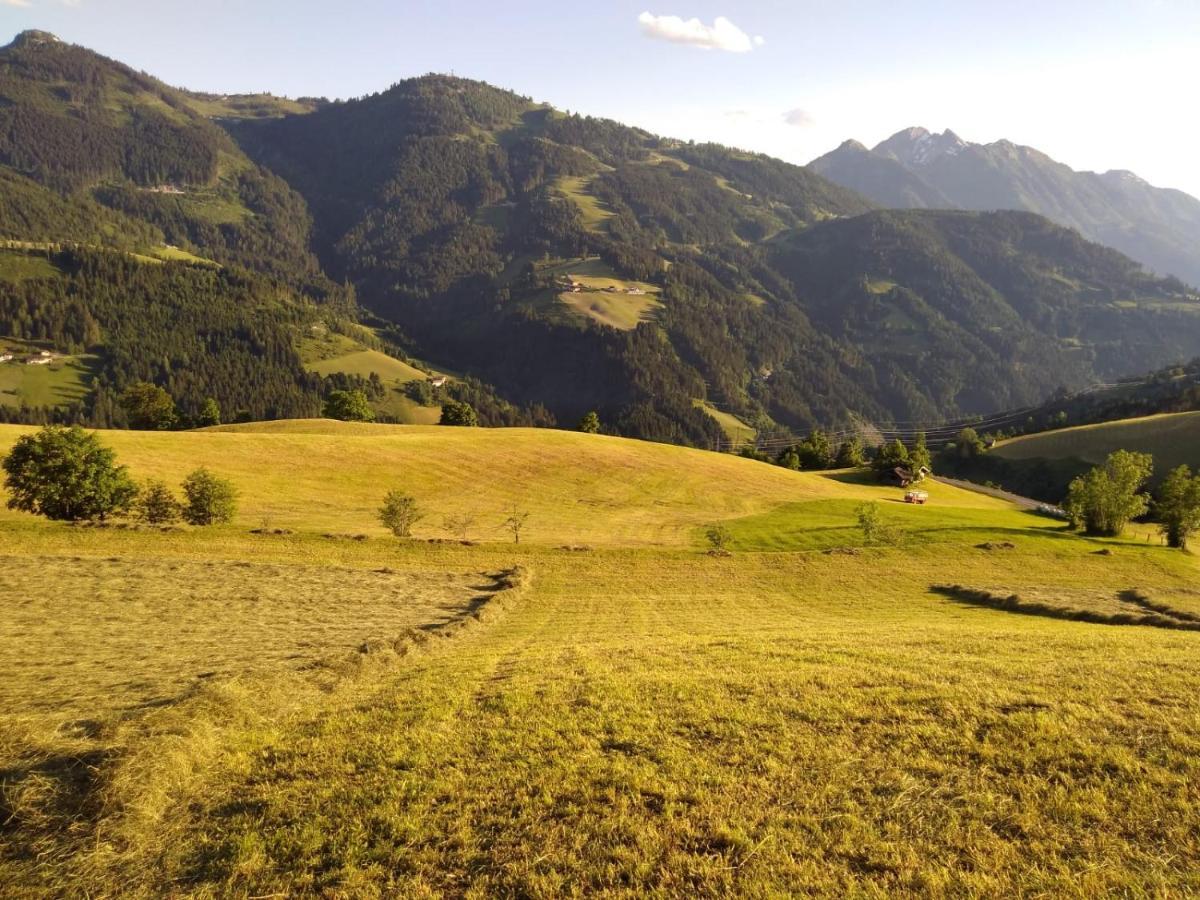 Lindbichlhof Urlaub Am Bio Bauernhof Apartment Sankt Johann im Pongau Luaran gambar