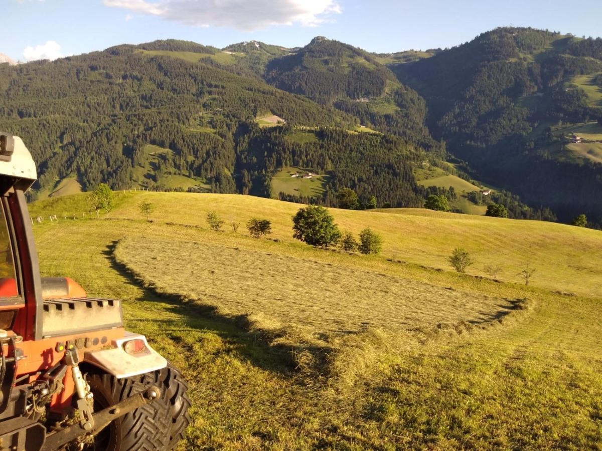 Lindbichlhof Urlaub Am Bio Bauernhof Apartment Sankt Johann im Pongau Luaran gambar