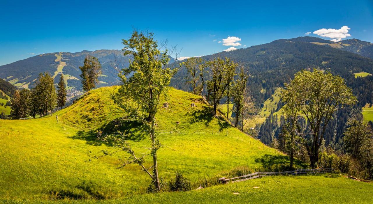 Lindbichlhof Urlaub Am Bio Bauernhof Apartment Sankt Johann im Pongau Luaran gambar
