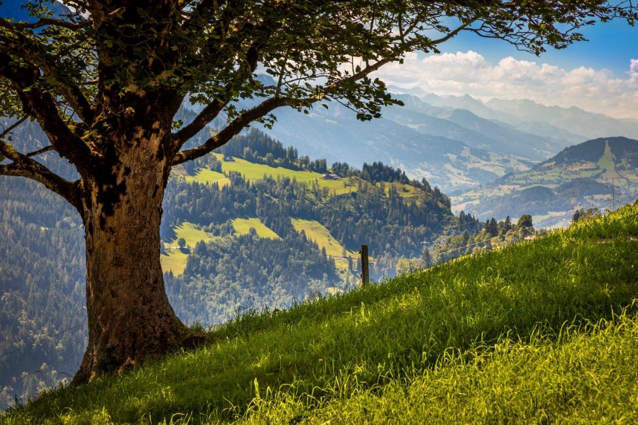 Lindbichlhof Urlaub Am Bio Bauernhof Apartment Sankt Johann im Pongau Luaran gambar