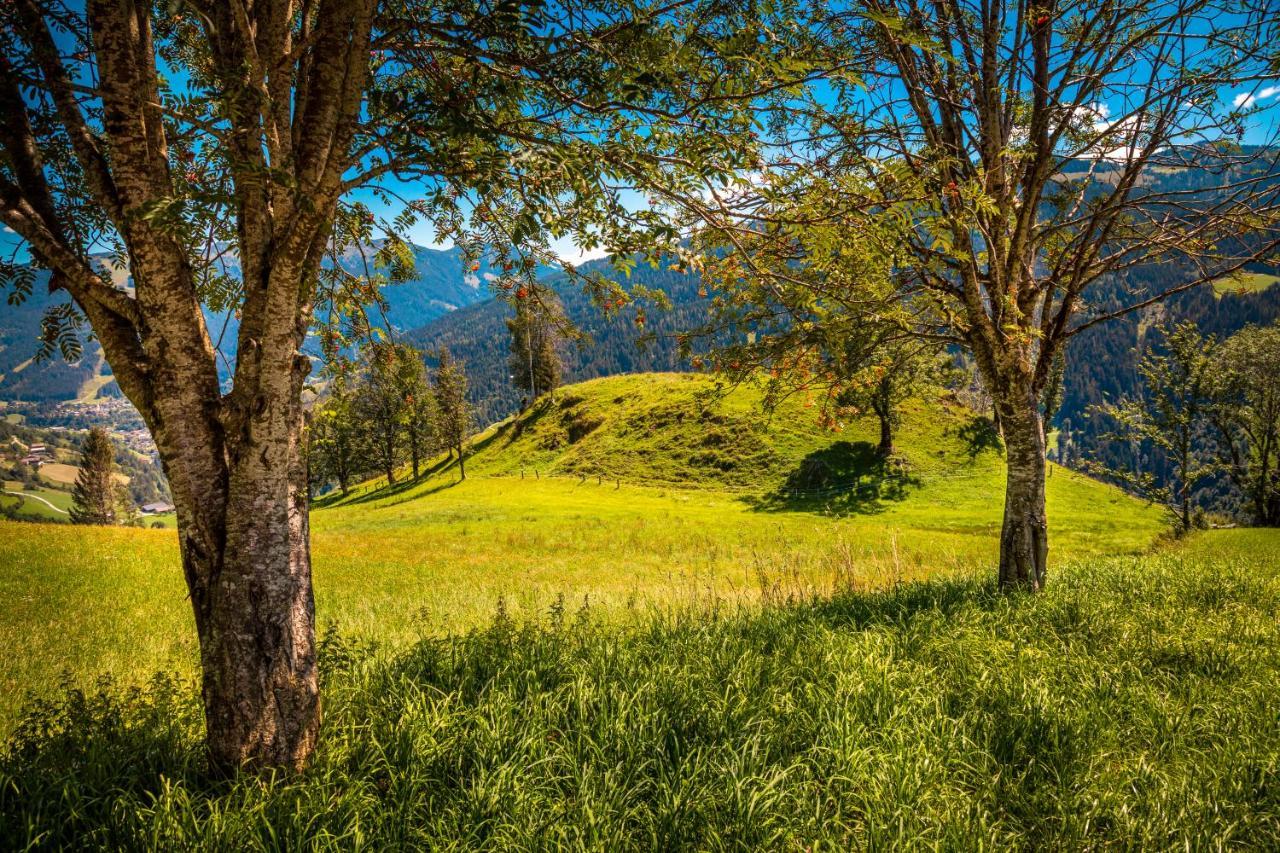 Lindbichlhof Urlaub Am Bio Bauernhof Apartment Sankt Johann im Pongau Luaran gambar